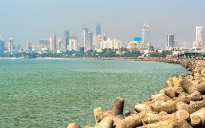 From Bandra to Powai: Why Mumbai Homes Prefer BWP Plywood