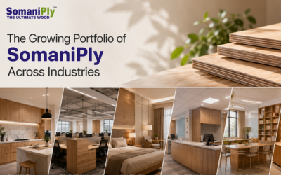 The Growing Portfolio of SomaniPly Across Industries