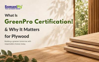 What Is GreenPro Certification & Why It Matters for Plywood