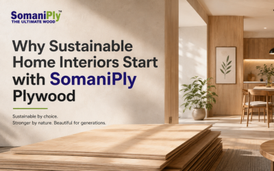 Why Sustainable Home Interiors Start with SomaniPly Plywood